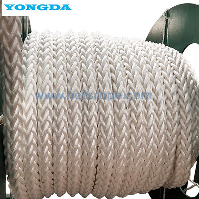 Cordes tressées en nylon de corde de la résistance à l'usure 12-Strand Polymide