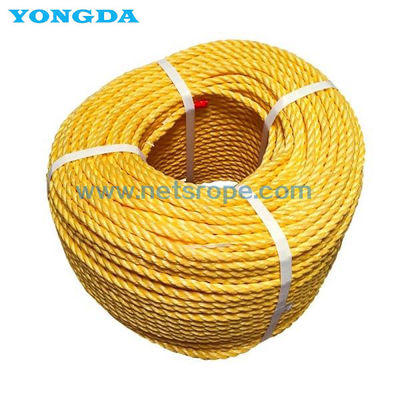 3 torsion tressée de la fibre 4mm Z de monofilament de cordes de polypropylène de brin