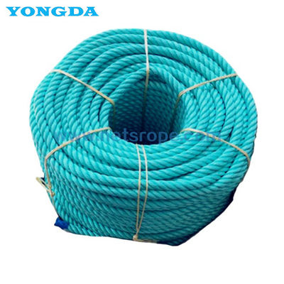 Corde UV de polyester de la résistance 6-Strand