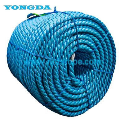 Rope de ferme en PP de 4 mm, 6 mm et 8 mm pour l'élevage d'animaux/serre/arbres fruitiers/récoltes en groupe