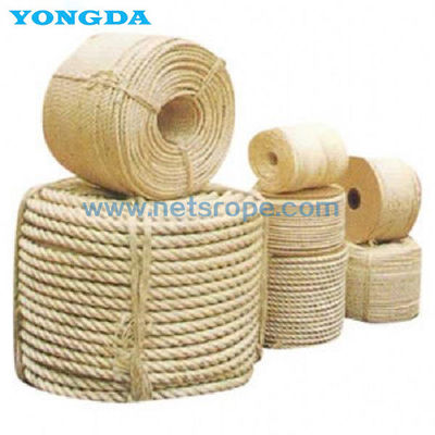 ISO 1181-2004[E] 3 fils de corde de sisal blanche